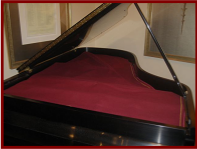 Grand piano string cover deals